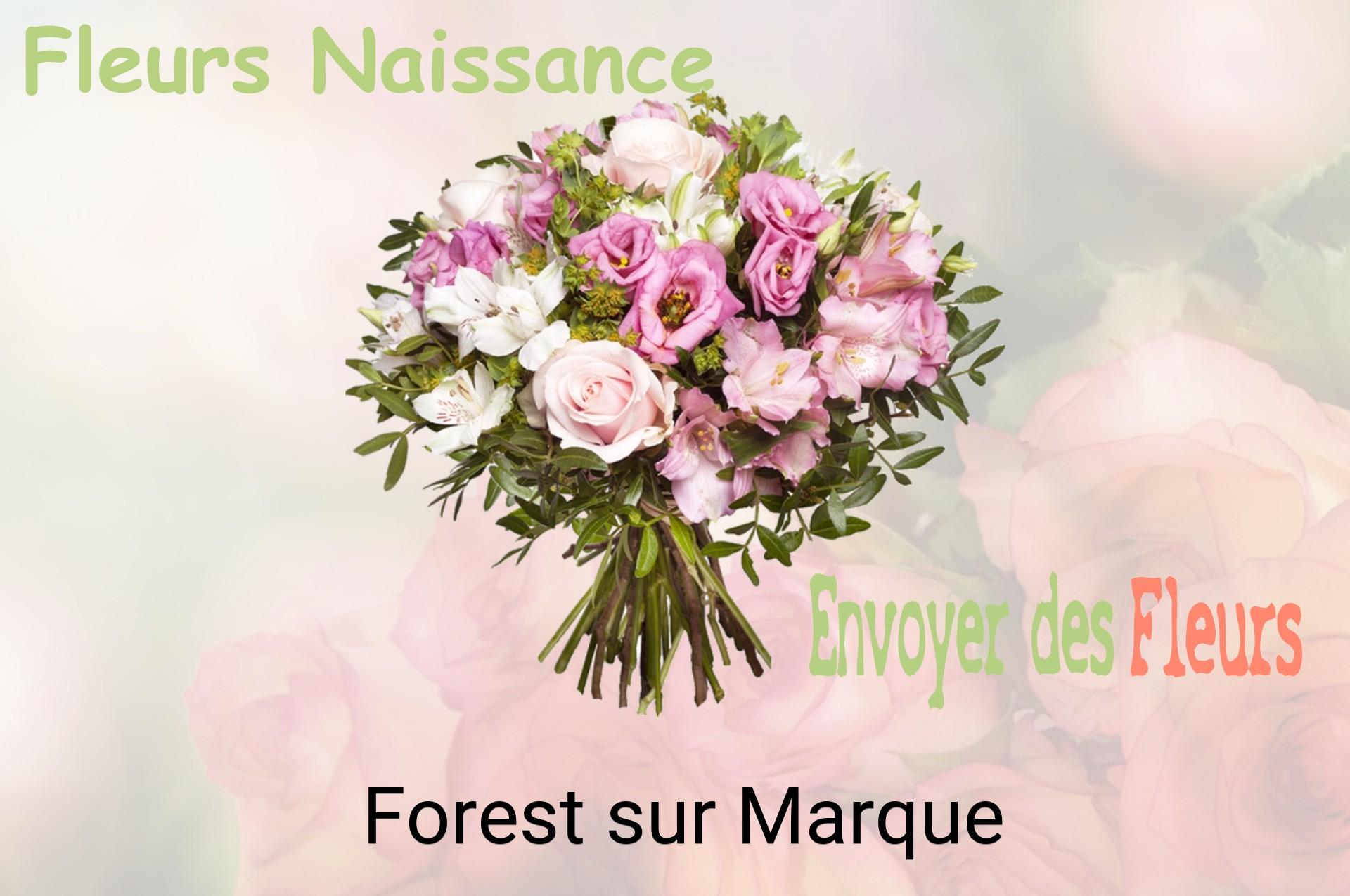 Bouquet de fleurs de naissance livré à Forest-sur-Marque